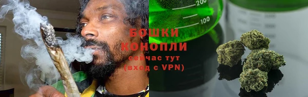 сатива Кулебаки