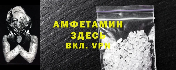 сатива Кулебаки