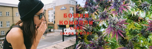 сатива Кулебаки