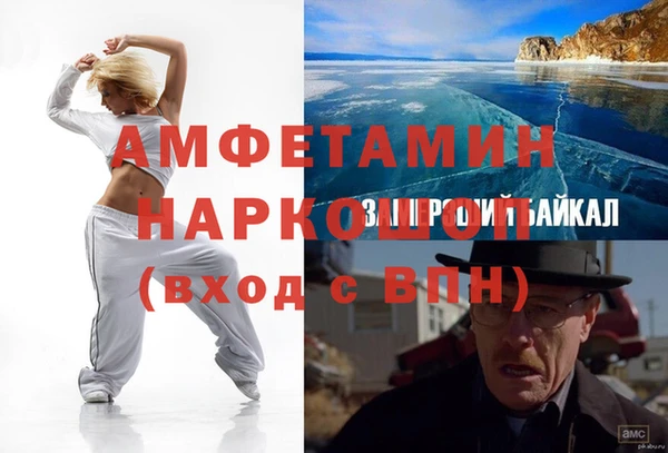 сатива Кулебаки