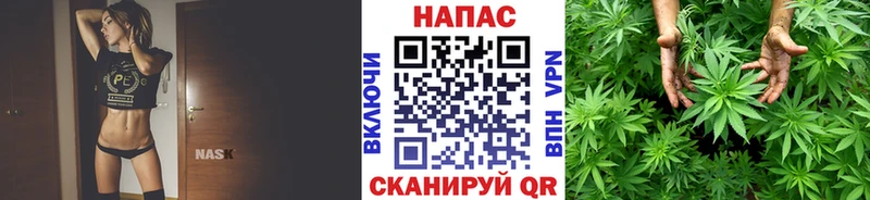 Бошки Шишки тримм  Нестеровская 